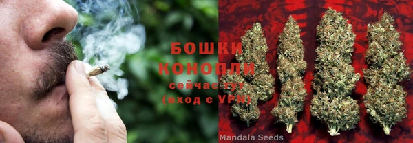 амфетамин Белокуриха