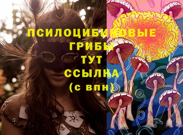 гидропоника Белоозёрский