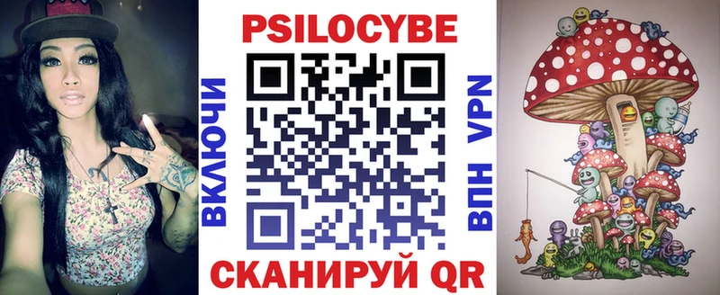Галлюциногенные грибы Psilocybe  Купить закладки  Дятьково 